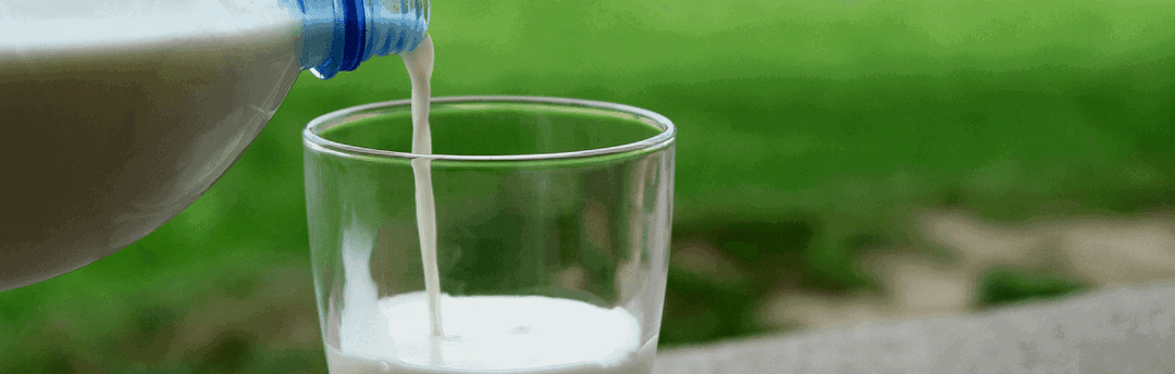 Which foods contain lactose?